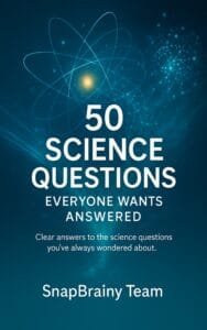 Book preview